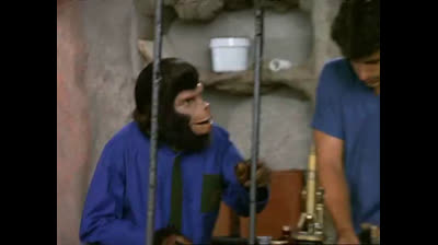 La Planète des singes. Ep7