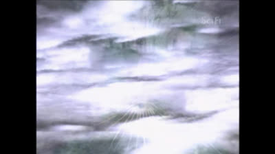 2x03 - Sélection pas très Naturelle.