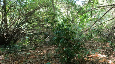 Carretera Salvaje (Episodio 4)